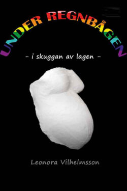 Under regnbågen – i skuggan av lagen