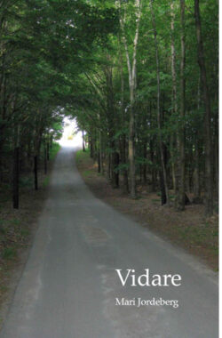 Vidare – e-bok