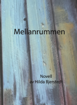 Mellanrummen